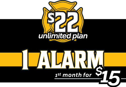 Automobile in the car wash